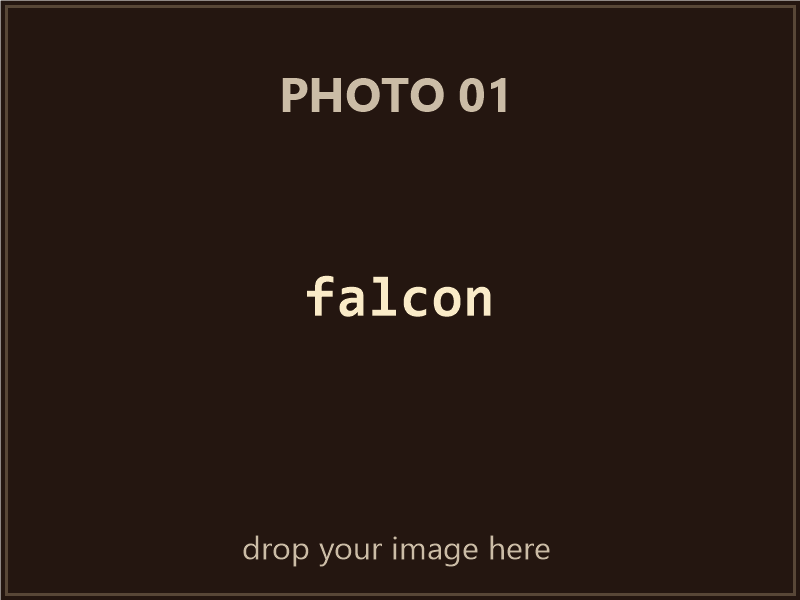 Falcon box contents, photo 1 of 4