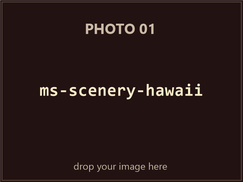 Microsoft Scenery Enhancement: Hawaii box contents, photo 1 of 4