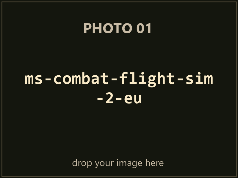 Microsoft Combat Flight Simulator: Series II — European Theater box contents, photo 1 of 4