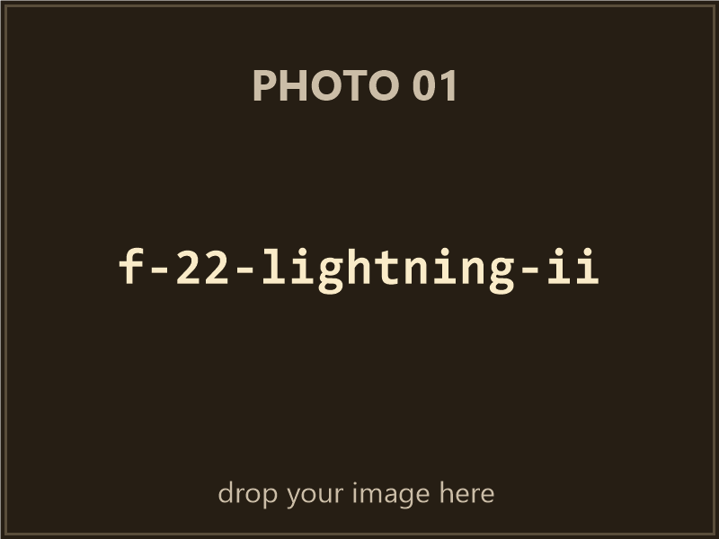 F-22 Lightning II box contents, photo 1 of 4