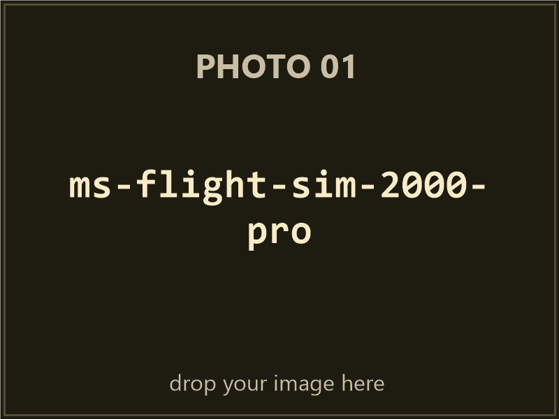 Microsoft Flight Simulator 2000 Professional Edition box contents, photo 1 of 4