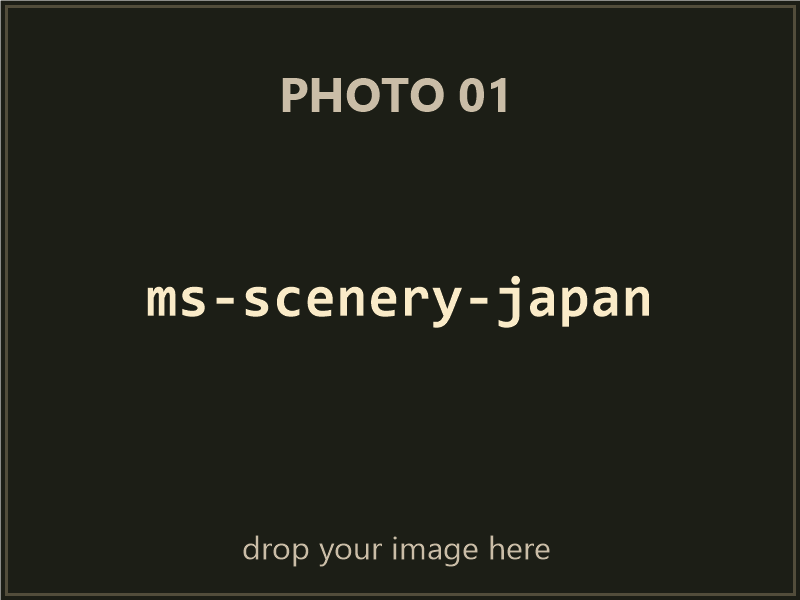 Microsoft Scenery Enhancement: Japan box contents, photo 1 of 4