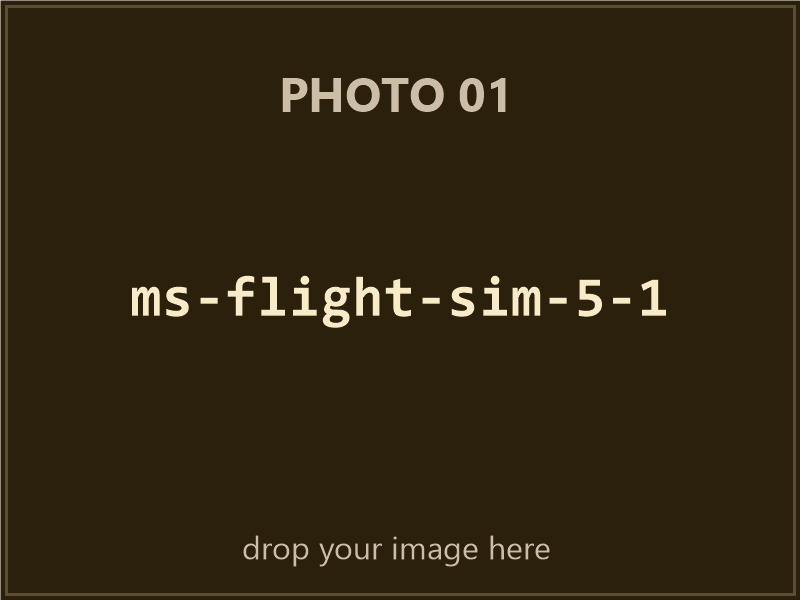 Microsoft Flight Simulator 5.1 box contents, photo 1 of 4