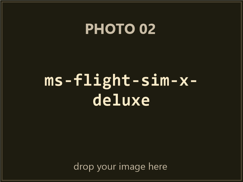 Microsoft Flight Simulator X Deluxe Edition box contents, photo 2 of 4