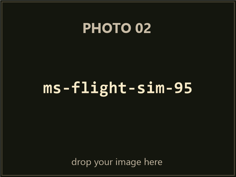 Microsoft Flight Simulator for Windows 95 box contents, photo 2 of 4