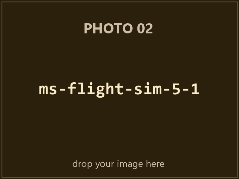 Microsoft Flight Simulator 5.1 box contents, photo 2 of 4