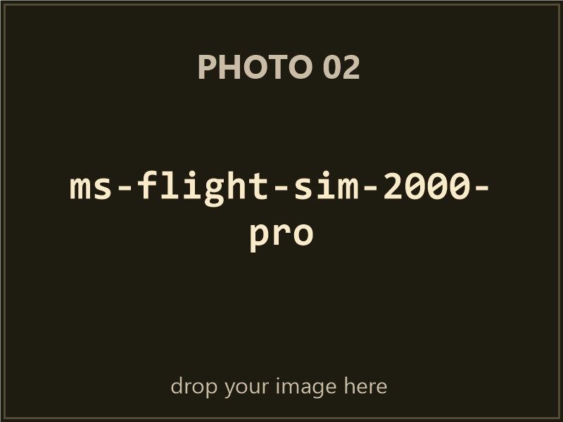 Microsoft Flight Simulator 2000 Professional Edition box contents, photo 2 of 4