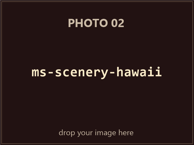 Microsoft Scenery Enhancement: Hawaii box contents, photo 2 of 4