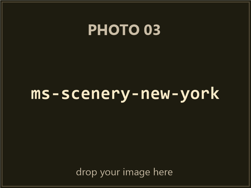 Microsoft Scenery Enhancement: New York box contents, photo 3 of 4