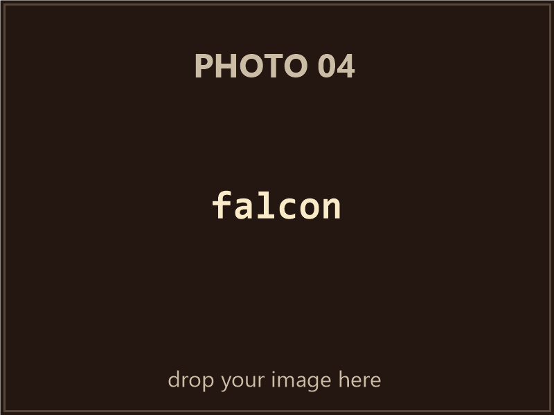 Falcon box contents, photo 4 of 4