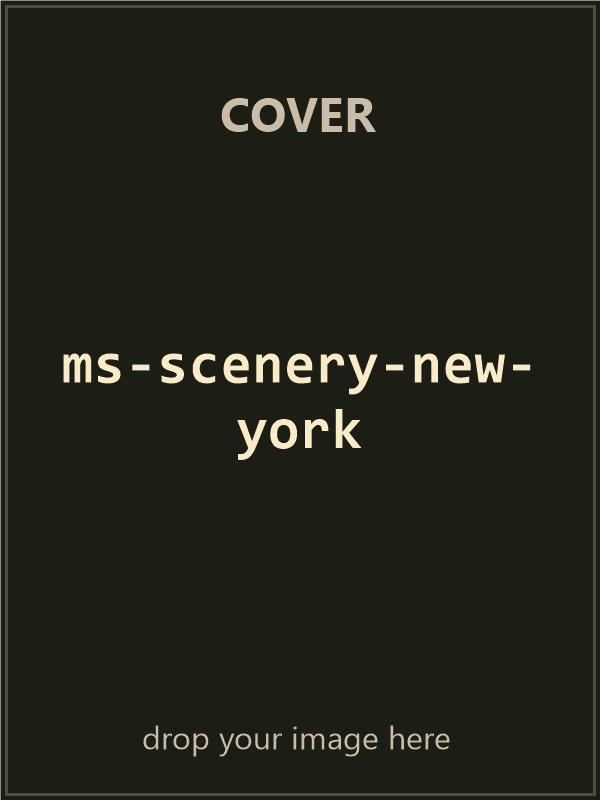 Microsoft Scenery Enhancement: New York — original big box cover